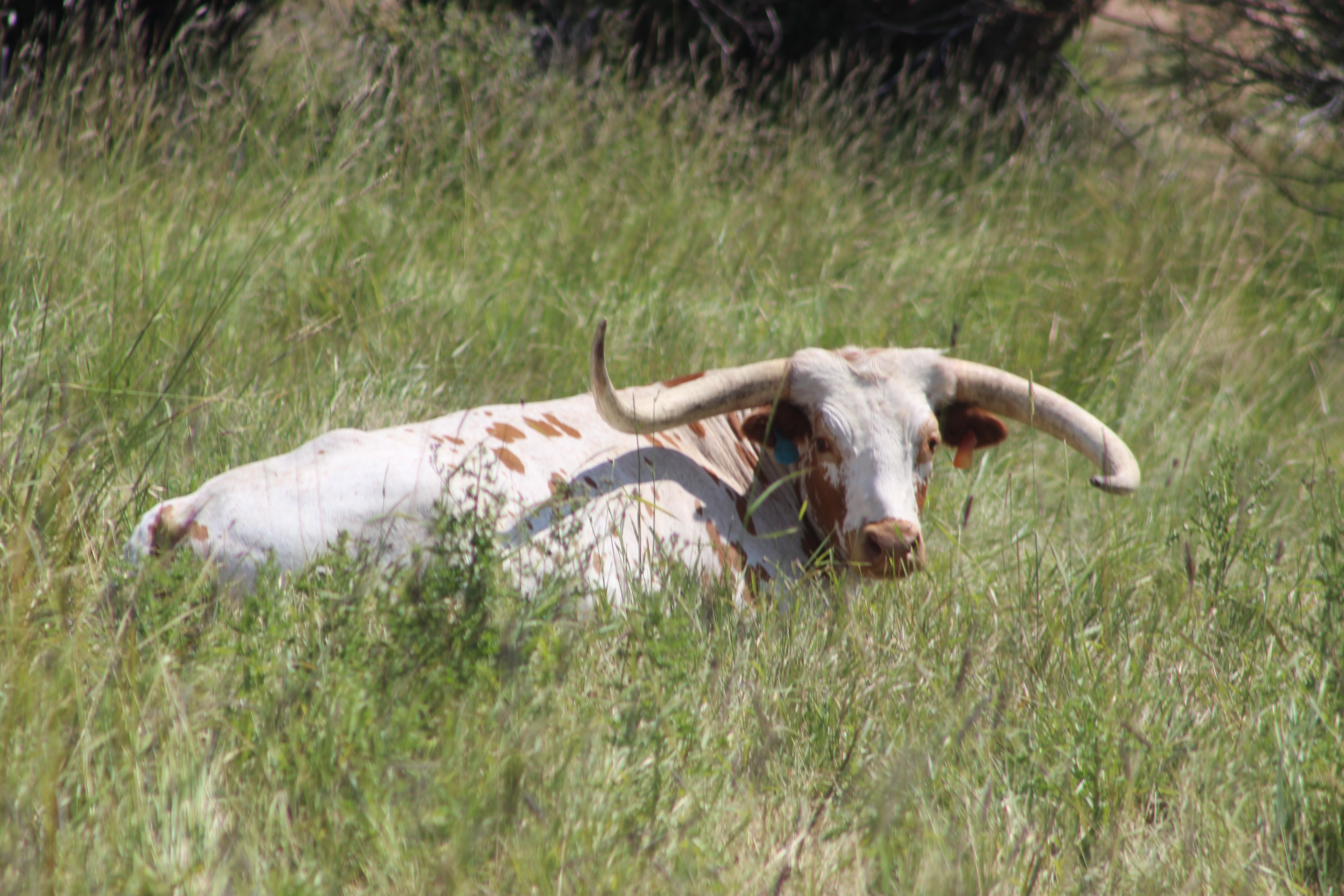 They were a rugged set of men