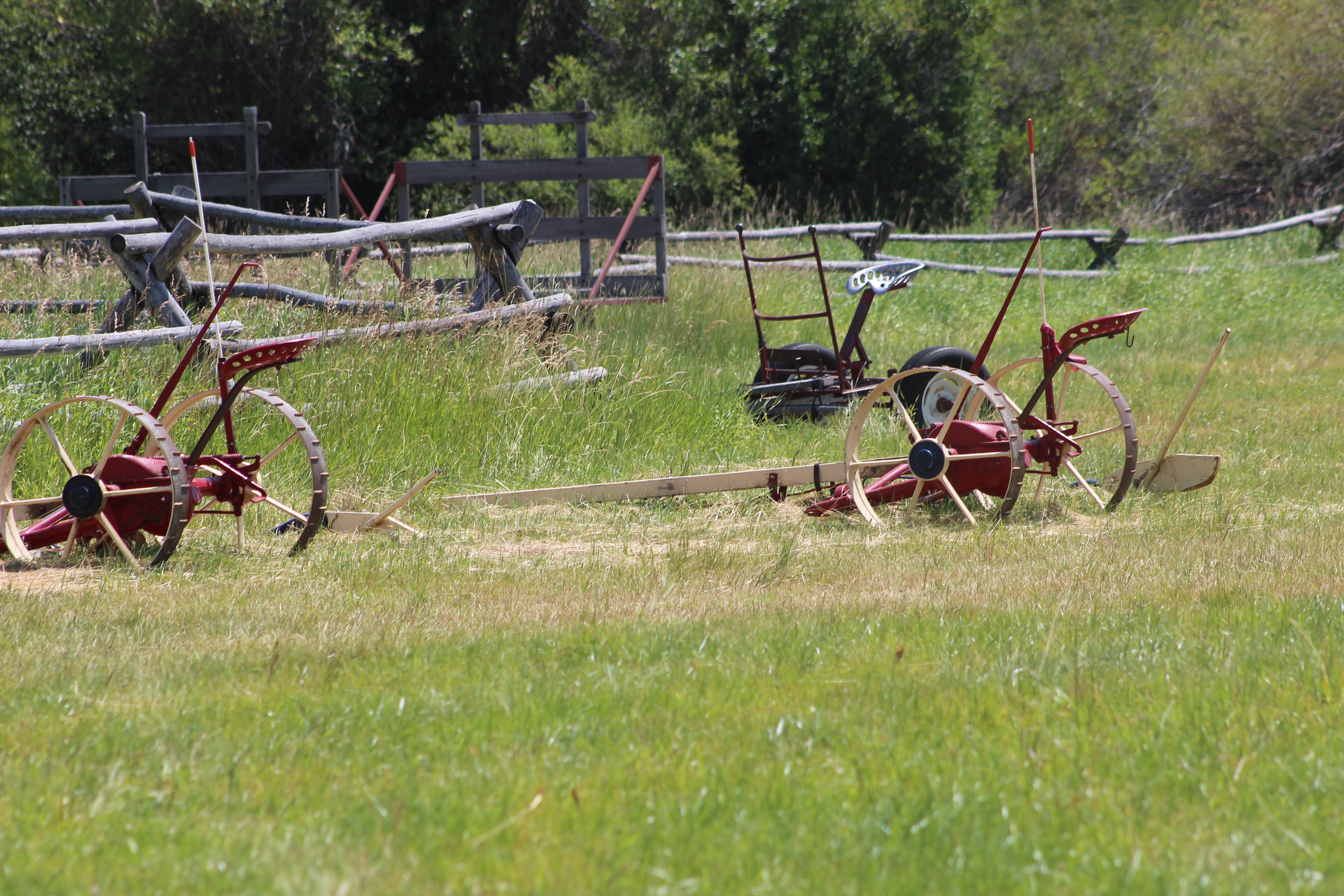 Grant-Kohrs Ranch Trails