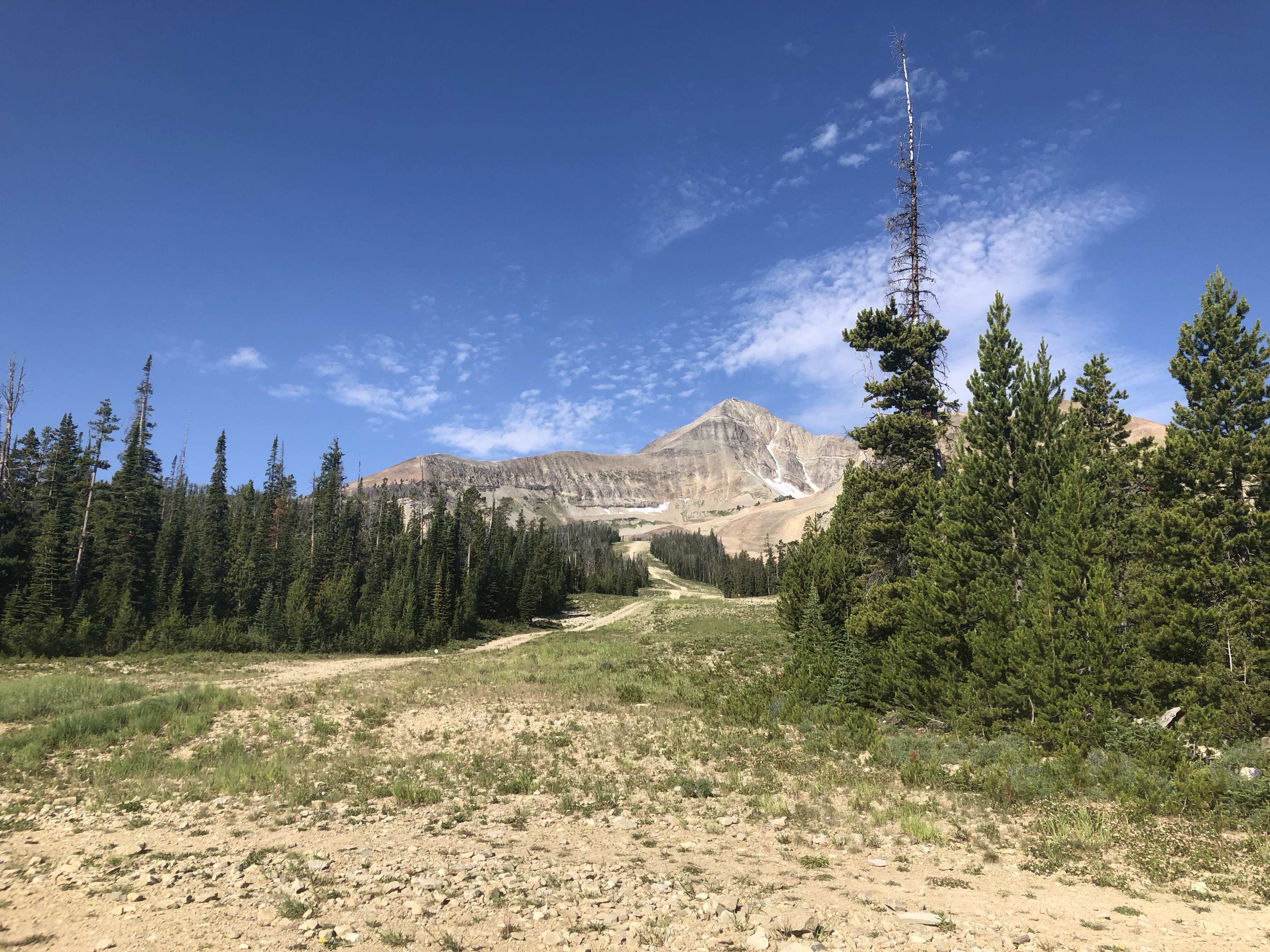 Hiking the Huckleberry Trail